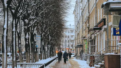 Парк Динамо зимой.