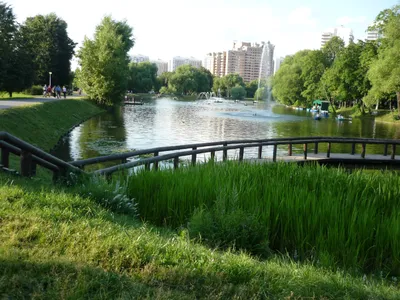 14 фото. Москва времён СССР и сегодня. Воронцовский парк | Про life в Москве  и не только | Дзен