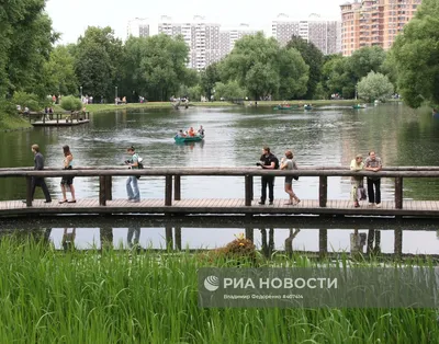 Воронцовский парк фото москва фотографии