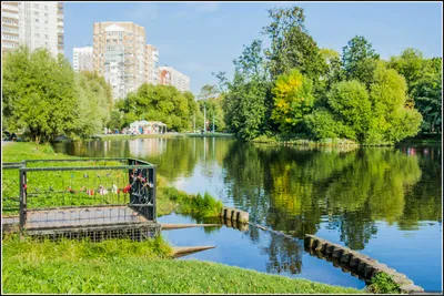 ЖК Родной город. Воронцовский парк в Москве 🏠 Планировки и цены на  квартиры на вторичном рынке.