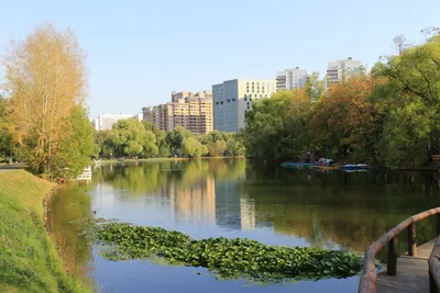 Москва россия 18 июня 2022 г. воронцовский парк на юго-западе москвы  центральный вход в парк | Премиум Фото