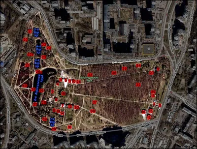 Цветущий парк\": лето в Воронцовском парке – Москва 24, 13.07.2015