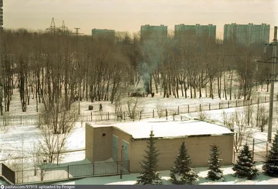 14 фото. Москва времён СССР и сегодня. Воронцовский парк | Про life в Москве  и не только | Дзен