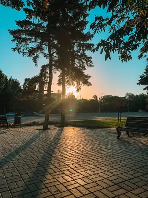 Файл:Белое море (восход солнца). White Sea (sunrise). - panoramio.jpg —  Викицитатник