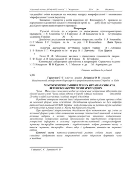 Отит у собак: симптомы, разновидности, лечение отита у собак в домашних  условиях каплями