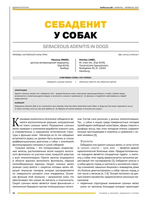 Гипоаллергенные породы собак: какие собаки не вызывают аллергию у человека  | Royal Canin