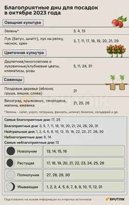 восточный календарь 2023 кролик цветочное украшение, png | PNGWing