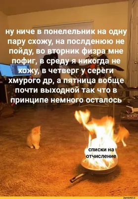 Если верить прогнозам синоптиков, то четверг принесет нам небольшой мороз.  Так, ночью будет до -6 градусов, возможен.. | ВКонтакте