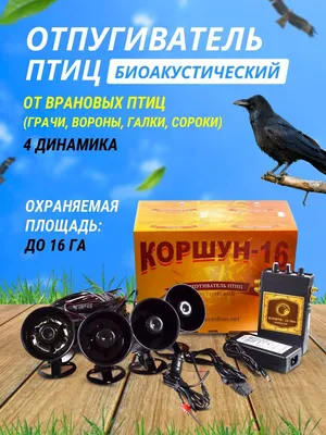 Книга \"Такие разные птицы в произведениях искусства\" КН-978-5-389-13337-2 -  купить в Москве в интернет-магазине Красный карандаш