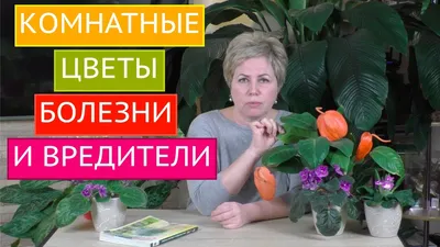 Болезни и вредители растений: предотвращение и решение проблем - посадка,  уход, фото, как вырастить и собрать урожай - «Блог Флориум.юа» 2024