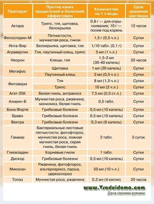 БОЛЕЗНИ И ВРЕДИТЕЛИ КОМНАТНЫХ РАСТЕНИЙ, МЕТОДЫ БОРЬБЫ С НИМИ! БОЛЬШОЙ  ОБЗОР! - YouTube