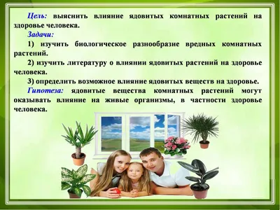 Опасность на подоконнике: пять самых вредных комнатных растений - РИА  Новости, 03.03.2020