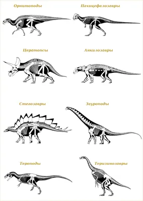 Все динозавры картинки фотографии