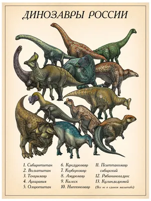 Динозавры онлайн dinosaurs, бесплатно динозавры хищные, фото динозавры  юрского периода, доисторические динозавры в картинках, самый большой  динозавр, виды динозавров энциклопедия, скелет динозавра, названия  динозавров эпоха, ихтиозавры, плезиозавры ...