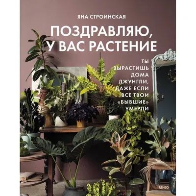 Все растения по 50 грн: 50 грн. - Комнатные растения Великодолинское на Olx