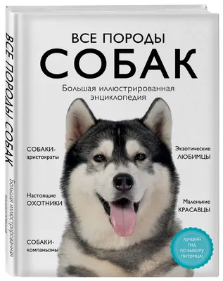 Большие породы собак – топ-15 крупных пород с фото – ProPlan.ru