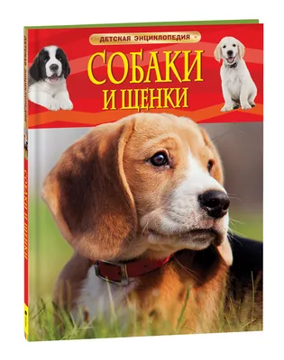 Проблемы собак маленьких пород. Как ухаживать и лечить