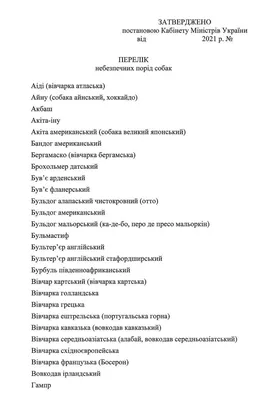 25 самых больших пород собак в мире, которых вы с удовольствием завели бы