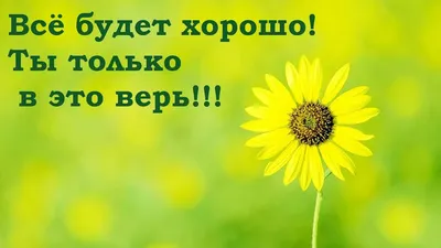 Weddingsalonzp - ВСЁ БУДЕТ ХОРОШО, ГЛАВНОЕ ВЕРИТЬ А что... | Facebook