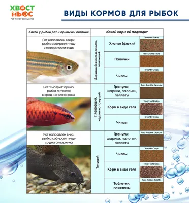 Корм для аквариумных рыбок. 12 мнений о сухом корме для рыбок. - Marlin  Aquarium