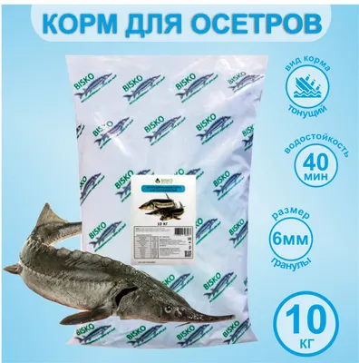 Осетровые рыбы для УЗВ - fishindustry.com.ua