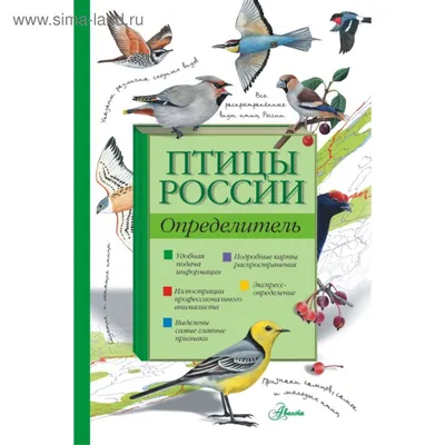 Видеоурок.1 класс. Окружающий мир. \"Кто такие птицы?\" - YouTube