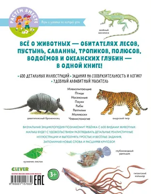 Все Животные с крупными буквами. Ананьева Елена Германовна - «Очень хорошая  книга!» | отзывы