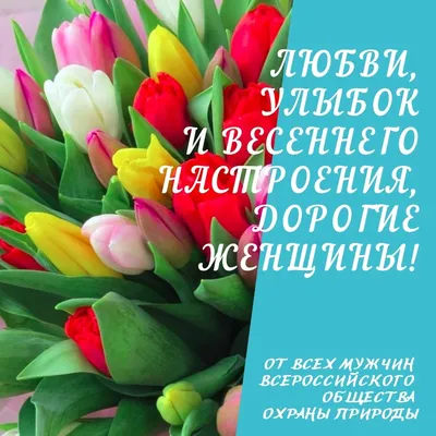 С праздником 8 марта! - Новости ОАО «БКМЗлит»