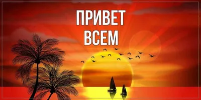 Всем здравствуйте. | Шико | Дзен