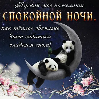 Доброй ночи!Сладких снов!#добрыепожелания #пожелания #отдуши💞💞💞💞💞 |  TikTok