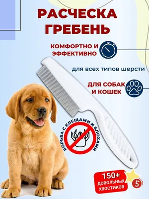 Антипаразитарные капли на холку для собак, для щенков \"Good Dog\" от блох,  клещей, вшей, власоедов (3 пипетки*2мл) - купить с доставкой по выгодным  ценам в интернет-магазине OZON (608970980)