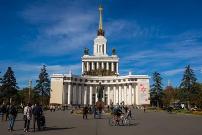 Лучшие места на ВДНХ в Москве, куда можно пойти с детьми – cultshow.ru