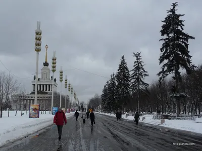 ВДНХ и Космос» — индивидуальная экскурсия по ВДНХ