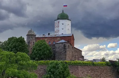 Выборгская (рынок) в Хабаровске, Нововыборгская ул., 50Б - фото, отзывы  2024, рейтинг, телефон и адрес