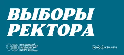 Теоретически выборы можно даже не проводить». Песков — о президентской  гонке в 2024-м - Газета.Ru