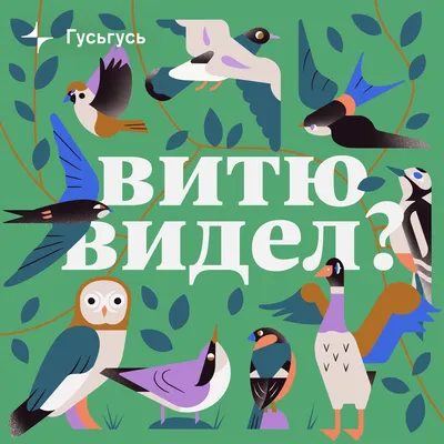 Выхухоль | Редкий вид | Дзен