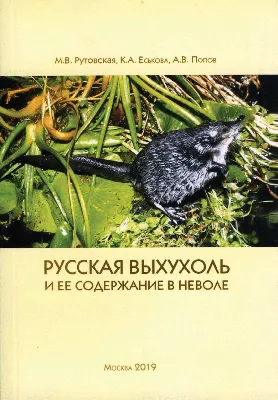 Книга Альпина. Дети Я Выхухоль с раскрасками купить по цене 447 ₽ в  интернет-магазине Детский мир