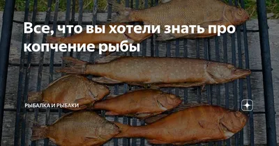 ООО Рыбный день на улице Карла Маркса в Новосибирске – как добраться, цены,  5 отзывов, телефон – на Yell.ru