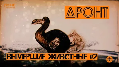 Они вымерли? Скажем этим жутким тварям спасибо за это (22 фото) » Невседома