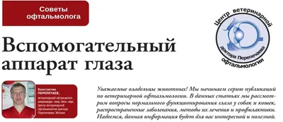 Пролапс слезной железы третьего века — Доктор Ай и Ой