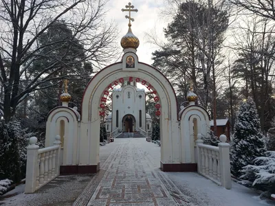 ст. Выселки, Краснодарский край. (10 фото - Выселки, Россия) - ФотоТерра