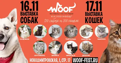 Галерея Мир Кошек | Moscow