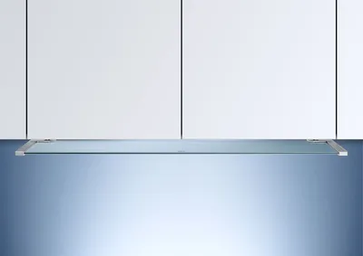 Вытяжка, встраиваемая в подвесной шкаф GAGGENAU AC200161 / Купить в  фирменном салоне