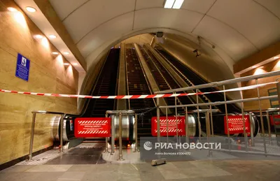 В метро Петербурга перечислили необычные вещи, забытые пассажирами с начала  года