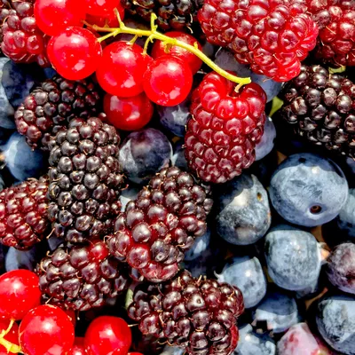 Как продавать на Wildberries - rostestural.com