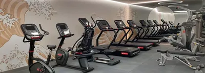 Gyms at the Soluxe Hotel Moscow - see the fitness center at the hotel in  Moscow on the official website