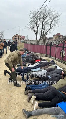 Драма молодого человека в 3 фотографиях, или просто - \"тарелочница\" -  ЯПлакалъ