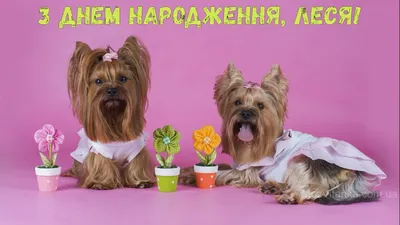 Картинки з Днем народження Леся