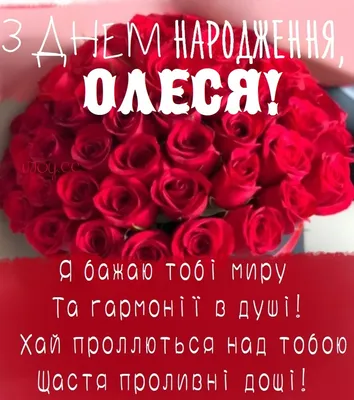 Рахівська філія Закарпатського обласного центру зайнятості - Сьогодні свій  день народження святкує фахівець відділу сприяння працевлаштуванню  Рахівської районної філії Закарпастького ОЦЗ Леся Василівна Дячук  🤩🥳🎀🎈🎁🎉 З нагоди свята колектив бажає ...