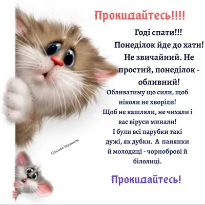 Листівки з добрим ранком понеділка — привітання в картинках з початком  тижня на вайбер - Телеграф